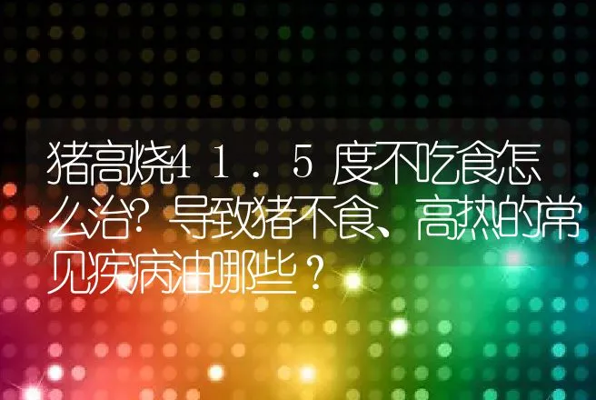 猪高烧41.5度不吃食怎么治?导致猪不食、高热的常见疾病油哪些？ | 兽医知识大全