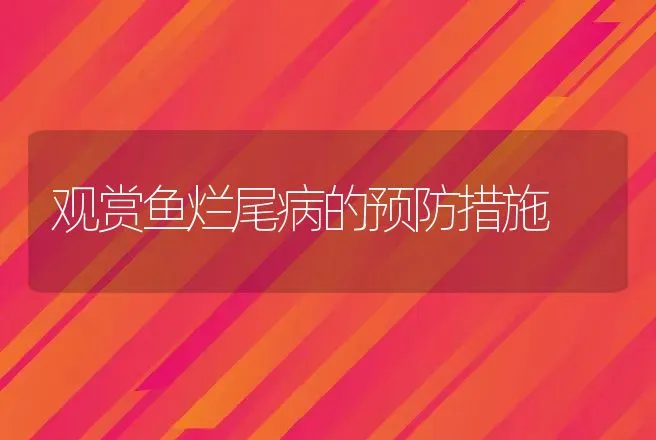 观赏鱼烂尾病的预防措施 | 水产知识