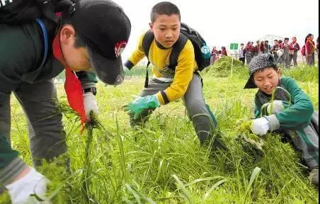 家有宠物，应该如何避免弓形虫感染？ | 宠物猫饲养