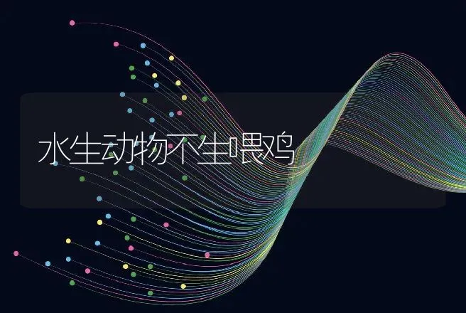 公猪配种次数 | 动物养殖