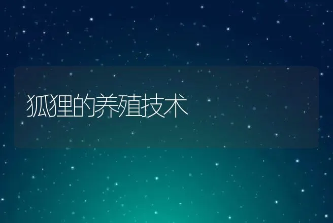 狐狸的养殖技术 | 动物养殖