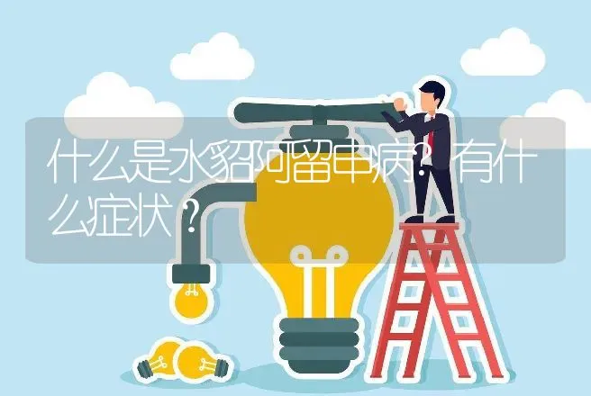 什么是水貂阿留申病?有什么症状？ | 兽医知识大全