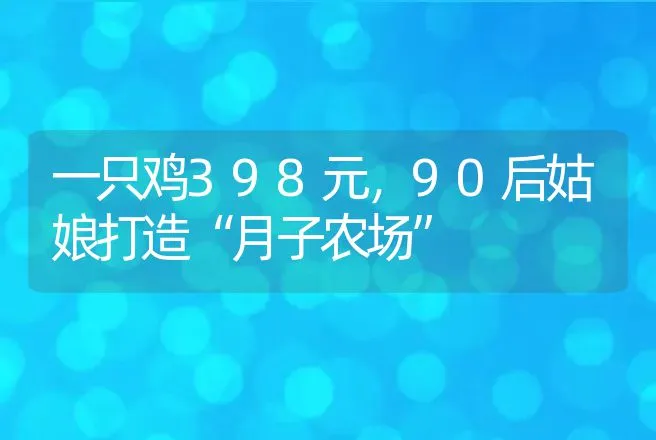 一只鸡398元，90后姑娘打造“月子农场” | 养殖致富