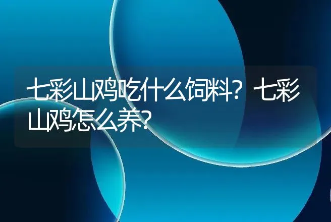 七彩山鸡吃什么饲料？七彩山鸡怎么养？ | 家禽养殖