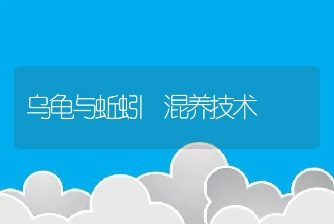 乌龟与蚯蚓 混养技术 | 动物养殖