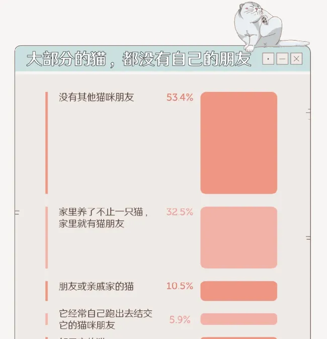 中国人养猫行为调查报告：来看看关于养猫的那些秘闻趣事 | 宠物新闻资讯