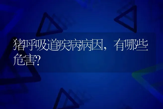 猪呼吸道疾病病因，有哪些危害? | 兽医知识大全