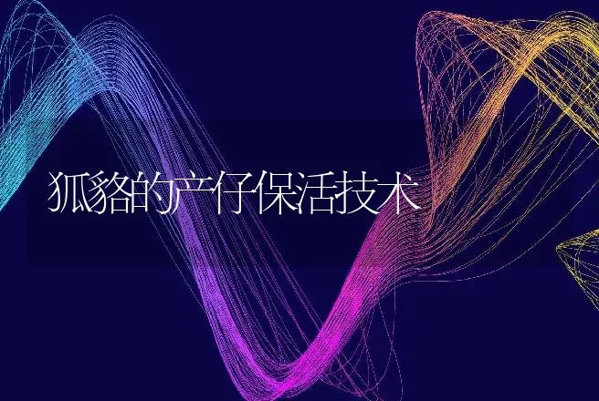 狐貉的产仔保活技术 | 动物养殖