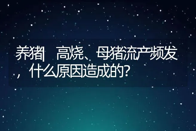 养猪|高烧、母猪流产频发，什么原因造成的？ | 家畜养殖