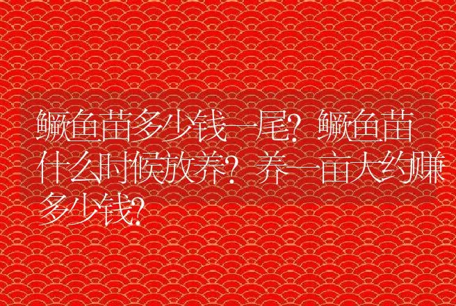 鳜鱼苗多少钱一尾？鳜鱼苗什么时候放养？养一亩大约赚多少钱? | 水产知识