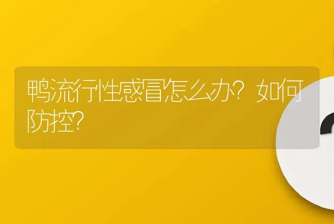 鸭流行性感冒怎么办？如何防控？ | 兽医知识大全