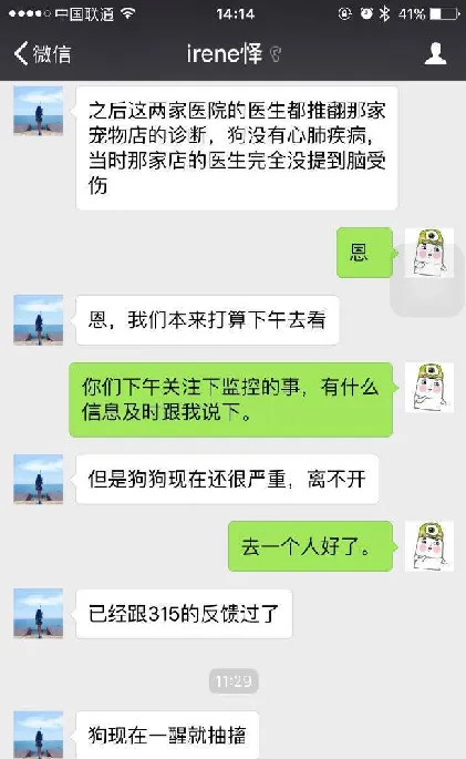 柯基送去洗澡竟然脑外伤？上海宝乐宠物诊所请你自证清白！ | 宠物新闻资讯