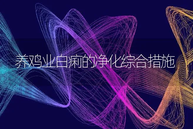 养鸡业白痢的净化综合措施 | 动物养殖