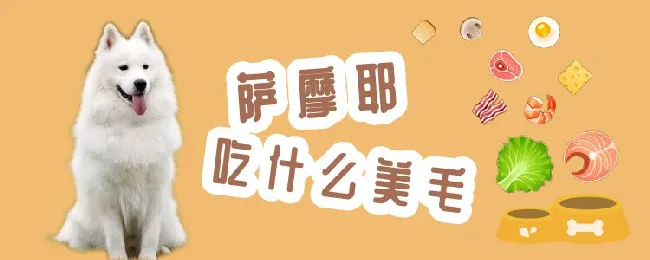 萨摩耶吃什么美毛 | 宠物病虫害防治