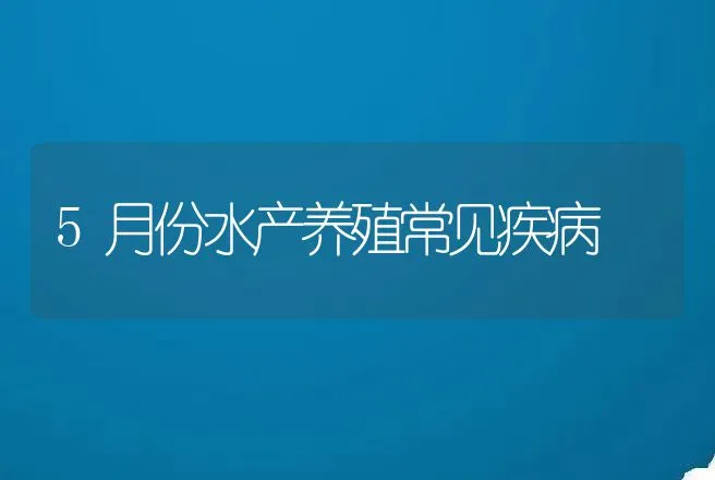 5月份水产养殖常见疾病 | 兽医知识大全