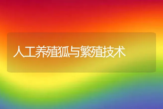 人工养殖狐与繁殖技术 | 特种养殖