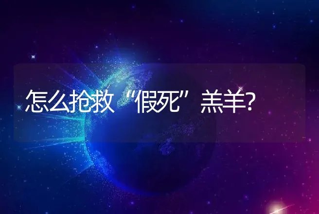 怎么抢救“假死”羔羊？ | 动物养殖