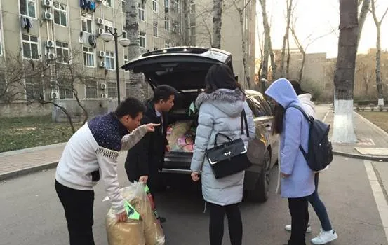 齐鲁爱宠：喂养流浪猫大型公益活动圆满落幕 | 宠物新闻资讯