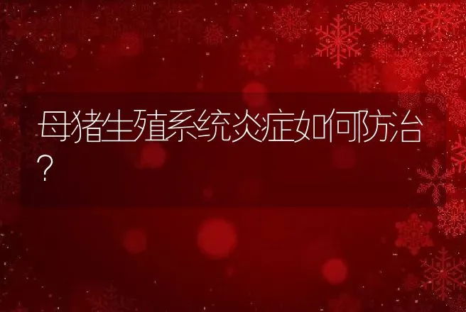 母猪生殖系统炎症如何防治？ | 兽医知识大全