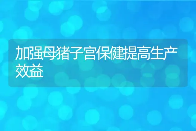 加强母猪子宫保健提高生产效益 | 动物养殖