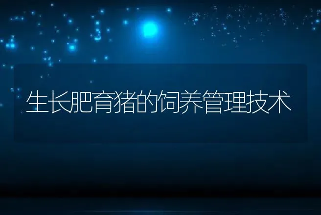 生长肥育猪的饲养管理技术 | 动物养殖