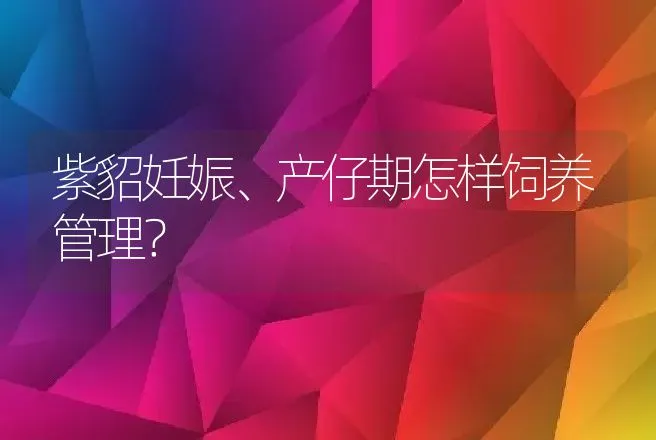 紫貂妊娠、产仔期怎样饲养管理？ | 特种养殖