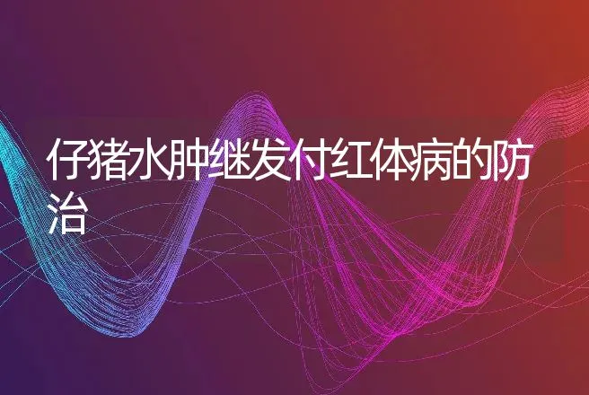 仔猪水肿继发付红体病的防治 | 动物养殖