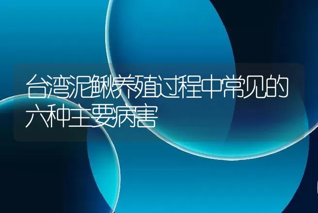 台湾泥鳅养殖过程中常见的六种主要病害 | 水产知识