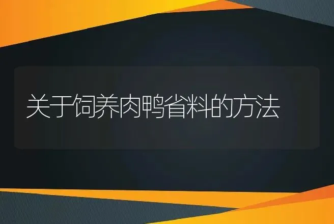 关于饲养肉鸭省料的方法 | 动物养殖