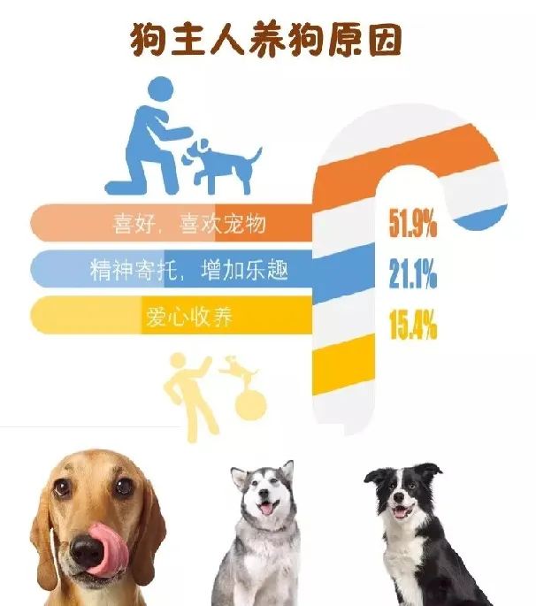 各城市养犬规范政策，不抛弃不放弃！ | 宠物政策法规