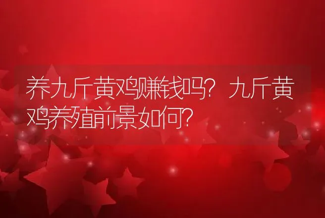 养九斤黄鸡赚钱吗？九斤黄鸡养殖前景如何？ | 养殖致富