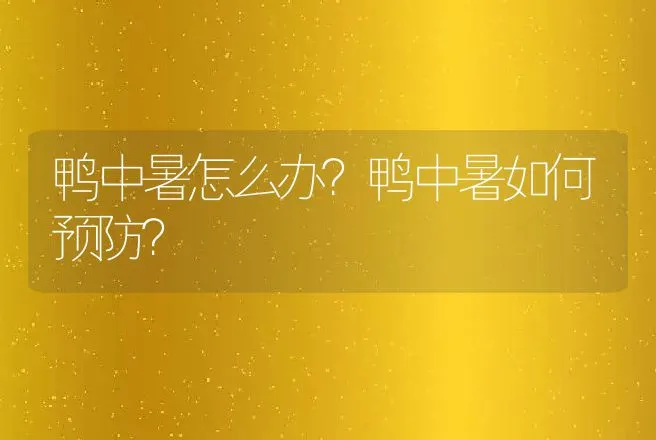 鸭中暑怎么办？鸭中暑如何预防？ | 兽医知识大全