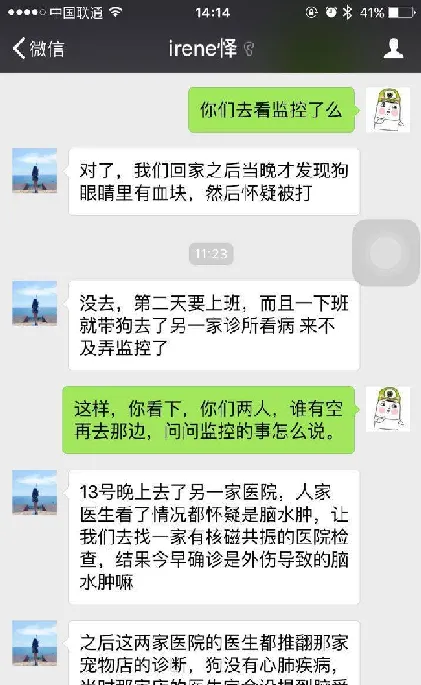 柯基送去洗澡竟然脑外伤？上海宝乐宠物诊所请你自证清白！ | 宠物新闻资讯