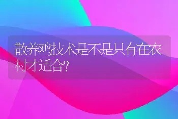 散养鸡技术是不是只有在农村才适合？