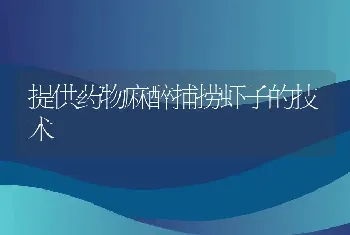 提供药物麻醉捕捞虾子的技术