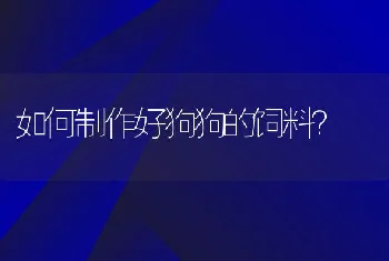 如何制作好狗狗的饲料？