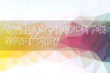 宠物主人应掌握哪些科学喂养狗狗的常识？