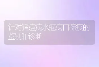 针对猪痘病水疱病口蹄疫的鉴别和诊断