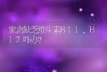 家禽缺乏维生素B11、B12咋办？