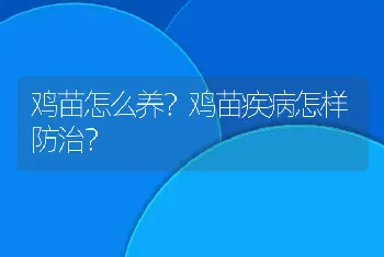 鸡苗怎么养？鸡苗疾病怎样防治？