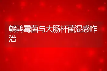 鹌鹑霉菌与大肠杆菌混感咋治