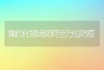 集约化猪场如何全方位防疫