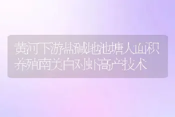 黄河下游盐碱地池塘大面积养殖南美白对虾高产技术