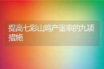 提高七彩山鸡产蛋率的九项措施