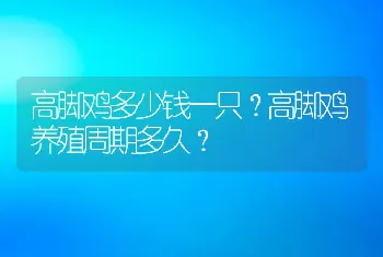 高脚鸡多少钱一只？高脚鸡养殖周期多久？