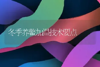 冬季养鳖加温技术要点