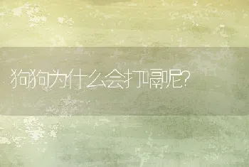 狗狗为什么会打嗝呢？