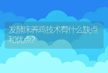 发酵床养鸡技术有什么缺点和优点？