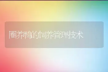 圈养鸭的饲养管理技术