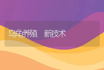 乌龟养殖 新技术